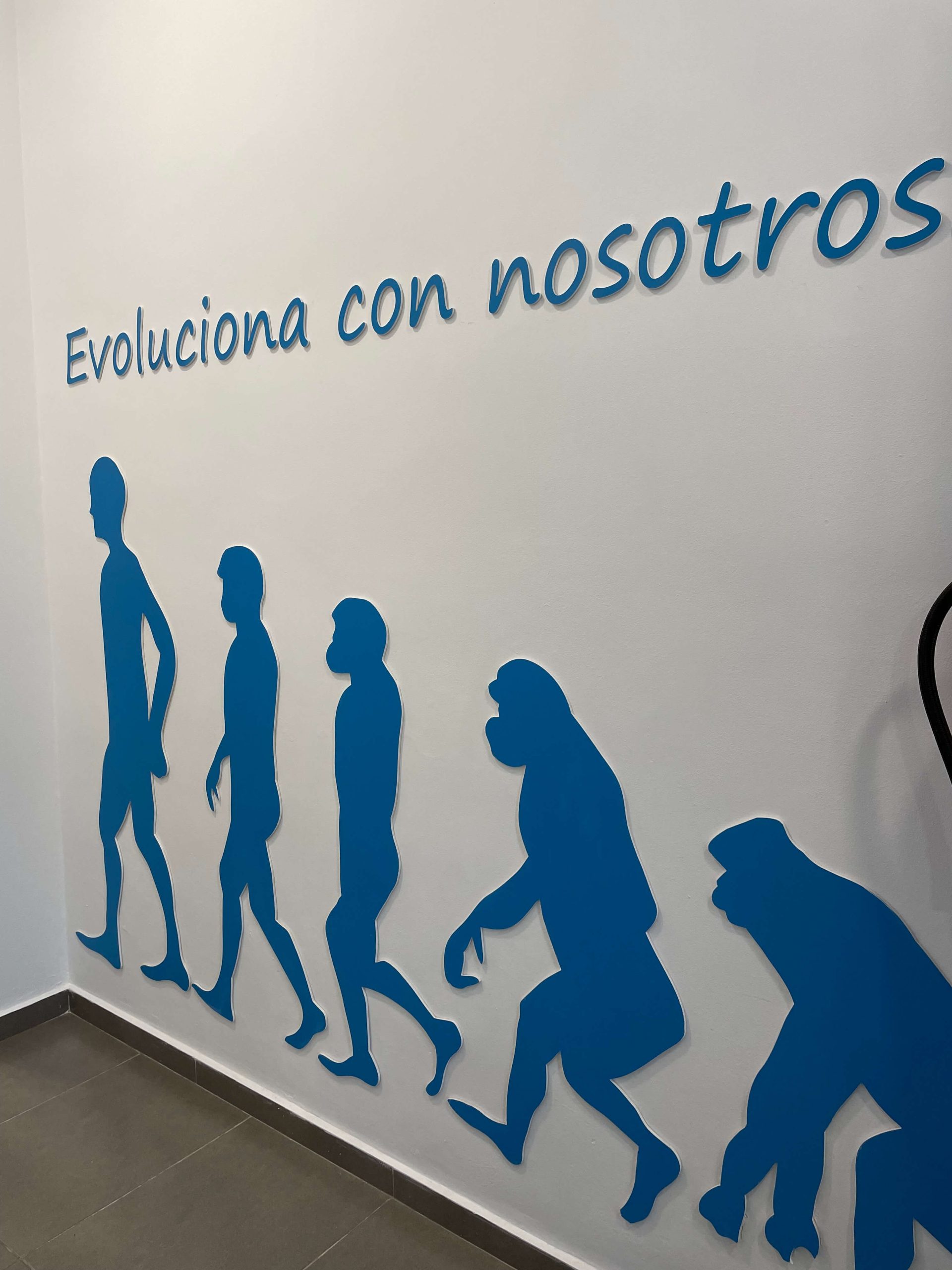 Ostiofisio Valencia, la clinica